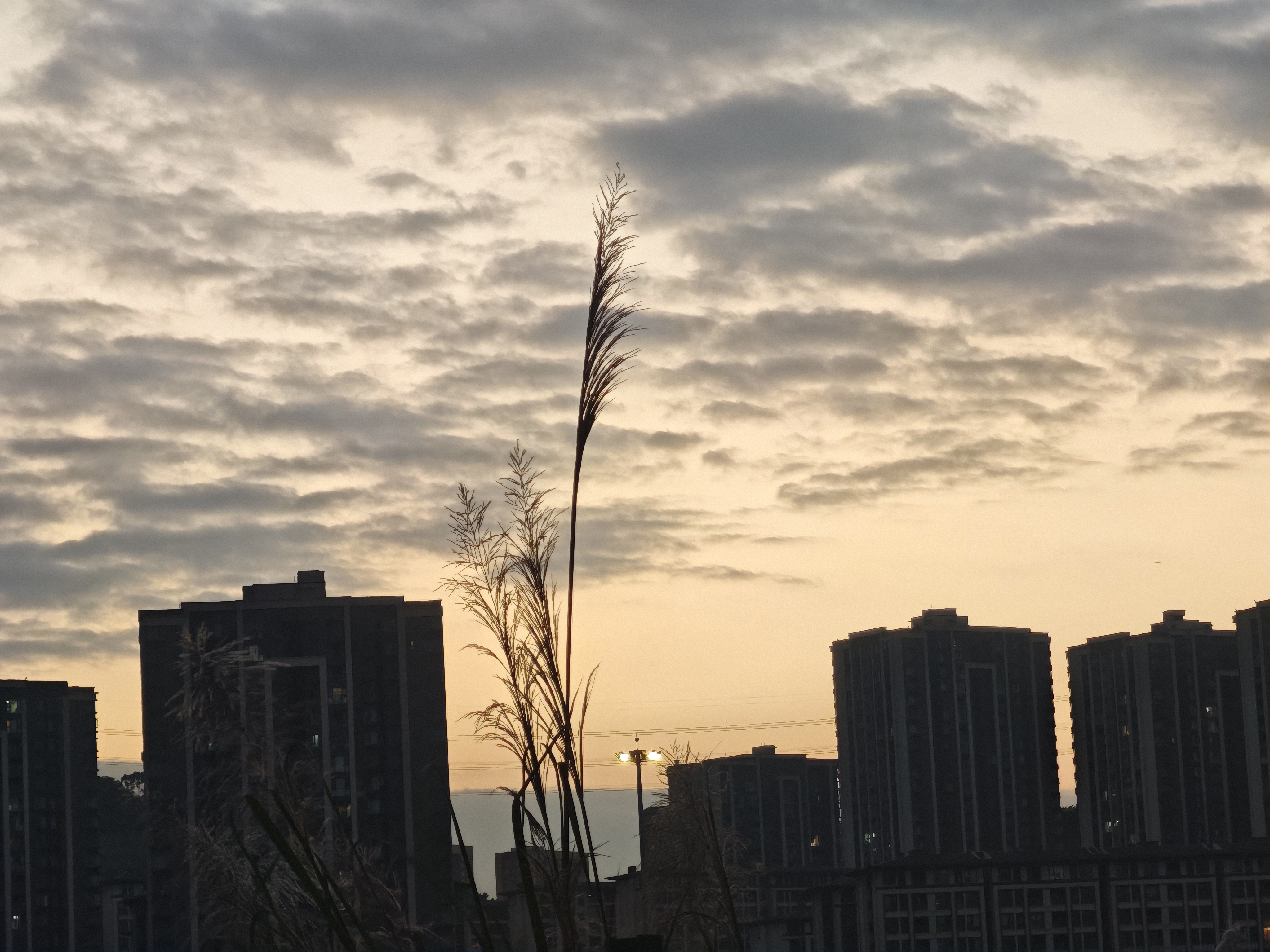 黄昏