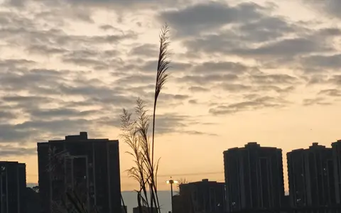 黄昏